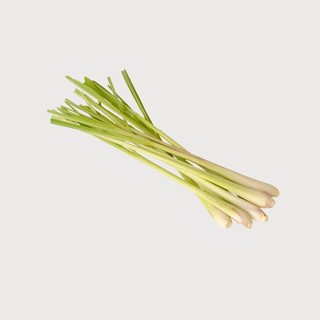Bunch of lemongrass on a light gray background
