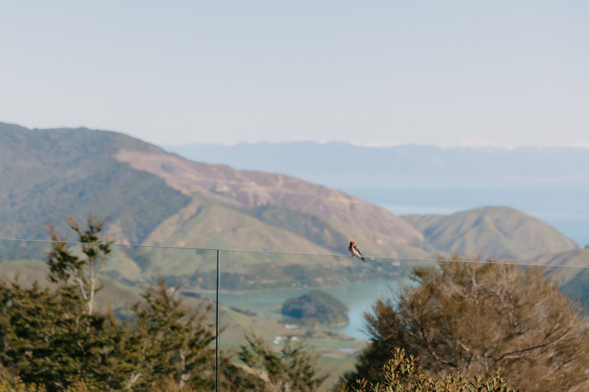 Scenic view of Nelson New Zealand mountains and a bay with trees in the foreground.