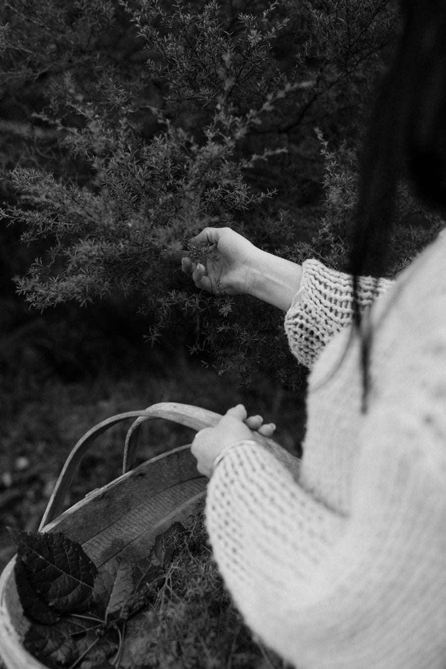 Woman gathering natural potent botanical actives to use in Reign Skincare
