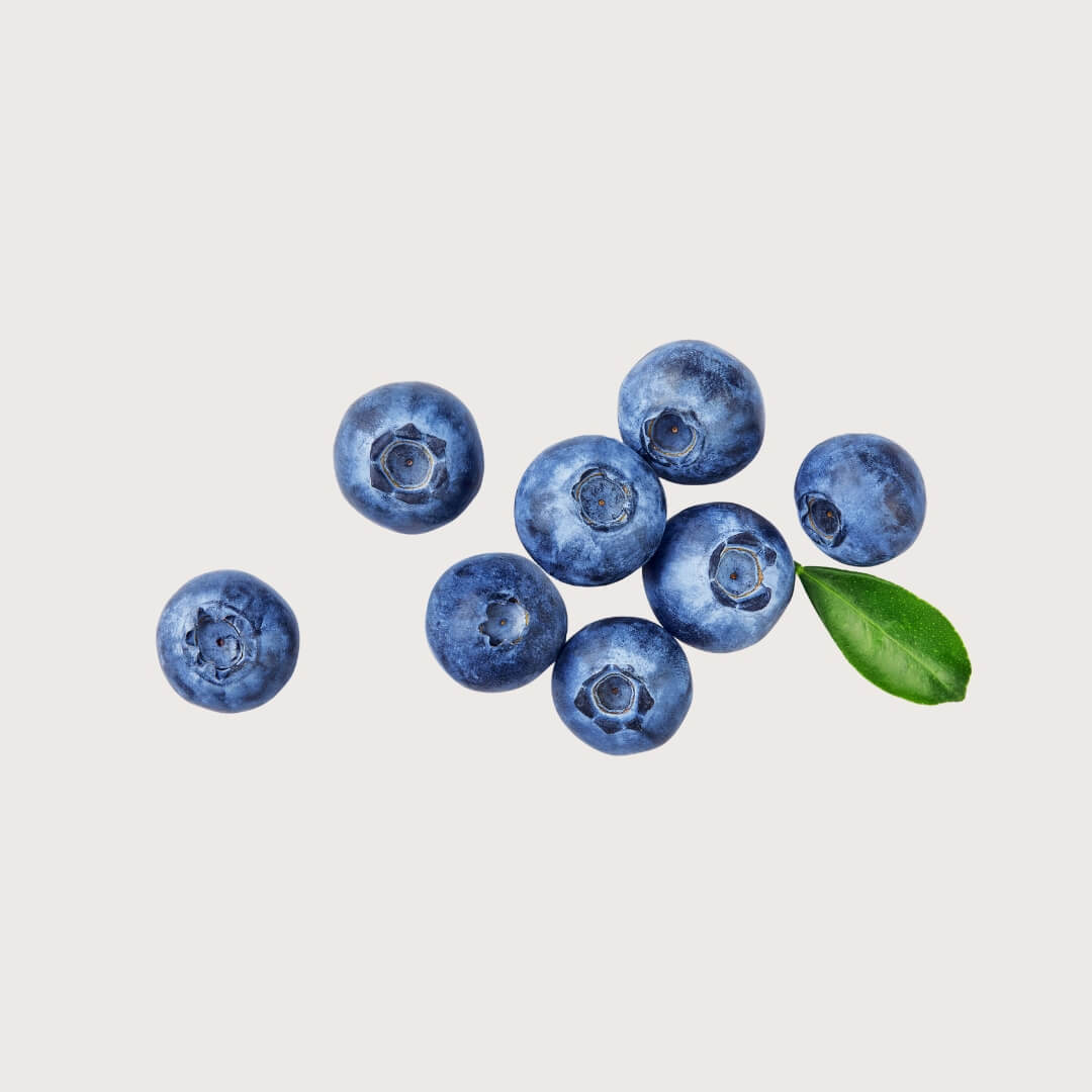 Blueberries with a green leaf on a light gray background